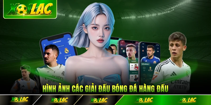 Hình ảnh các giải đấu bóng đá hàng đầu