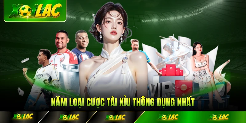 Năm loại cược tài xỉu thông dụng nhất