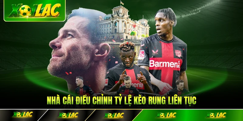 Nhà cái điều chỉnh tỷ lệ kèo rung liên tục