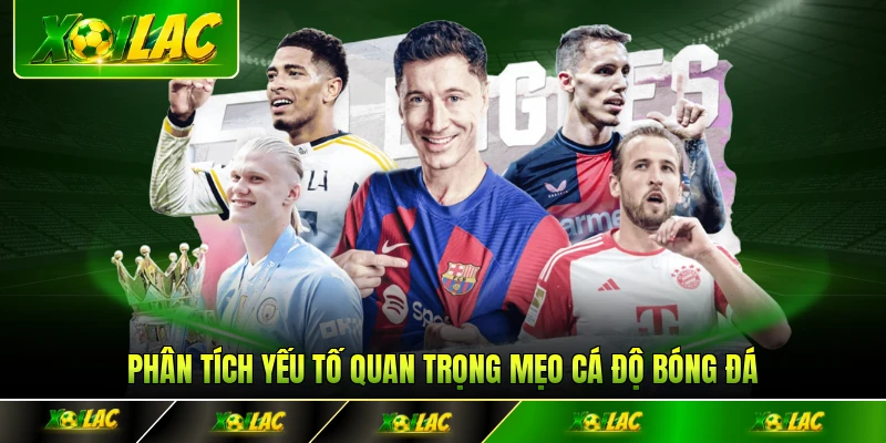 Phân tích yếu tố quan trọng mẹo cá độ bóng đá