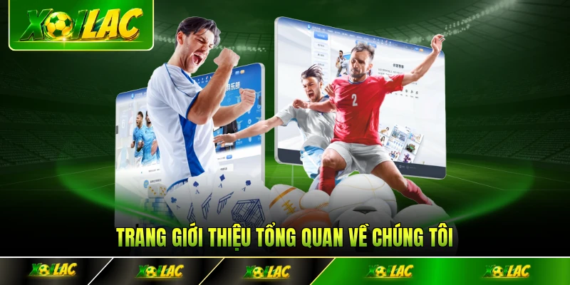 Trang giới thiệu tổng quan về chúng tôi